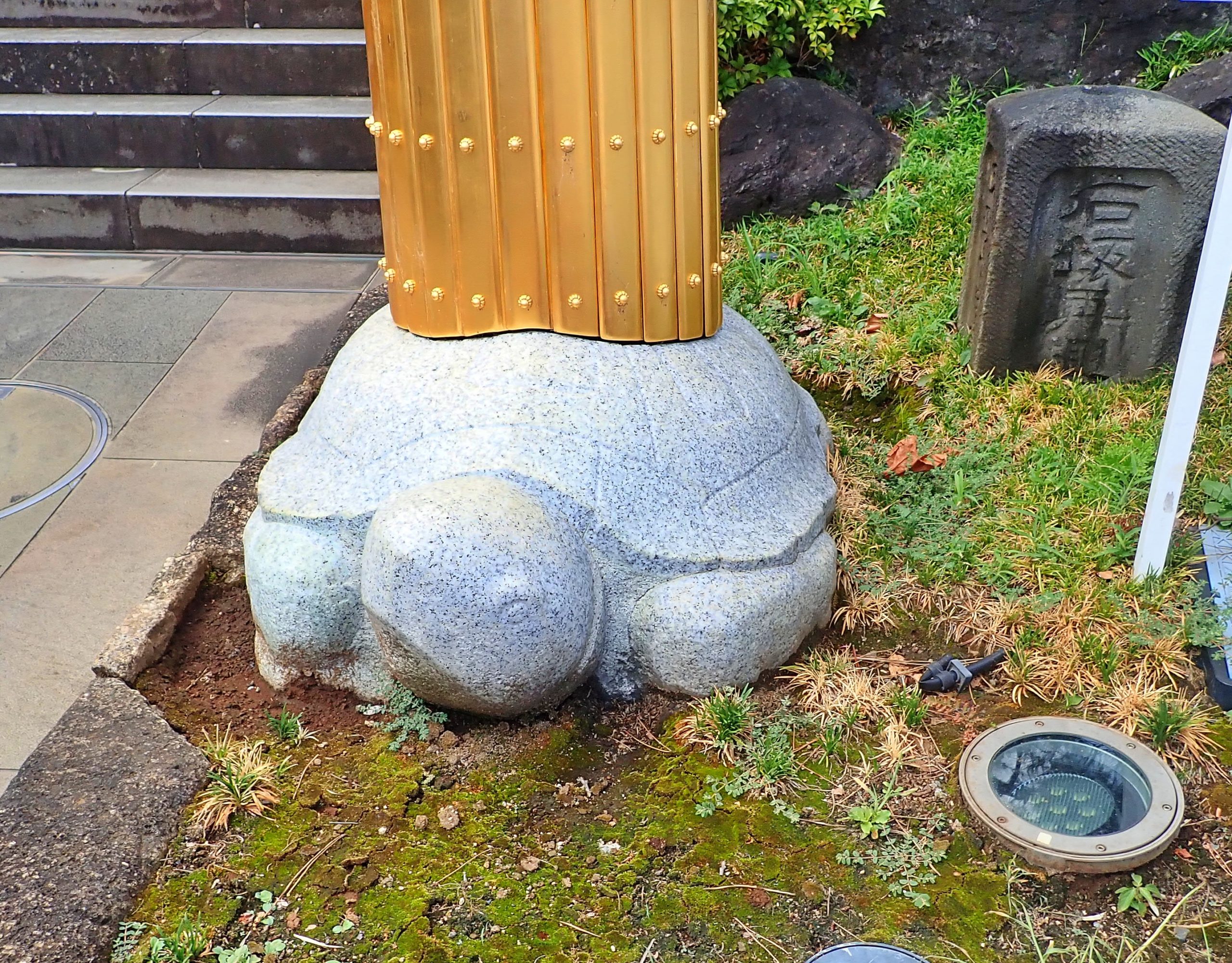 穴八幡宮の鳥居の下にいる亀 穴八幡宮の鳥居の下にいる亀