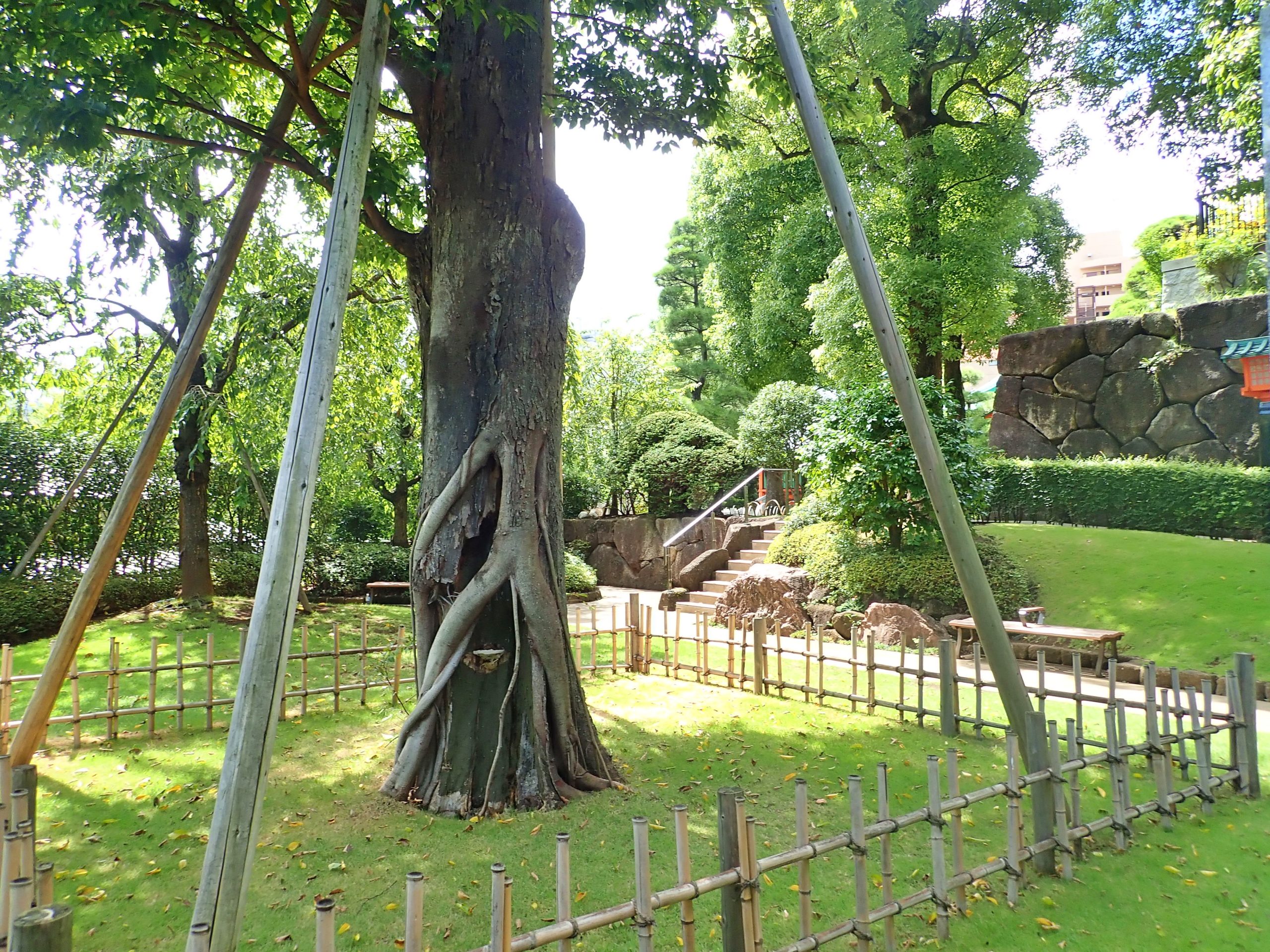 穴八幡宮の参道階段の脇にある公園 穴八幡宮の参道階段の脇にある公園