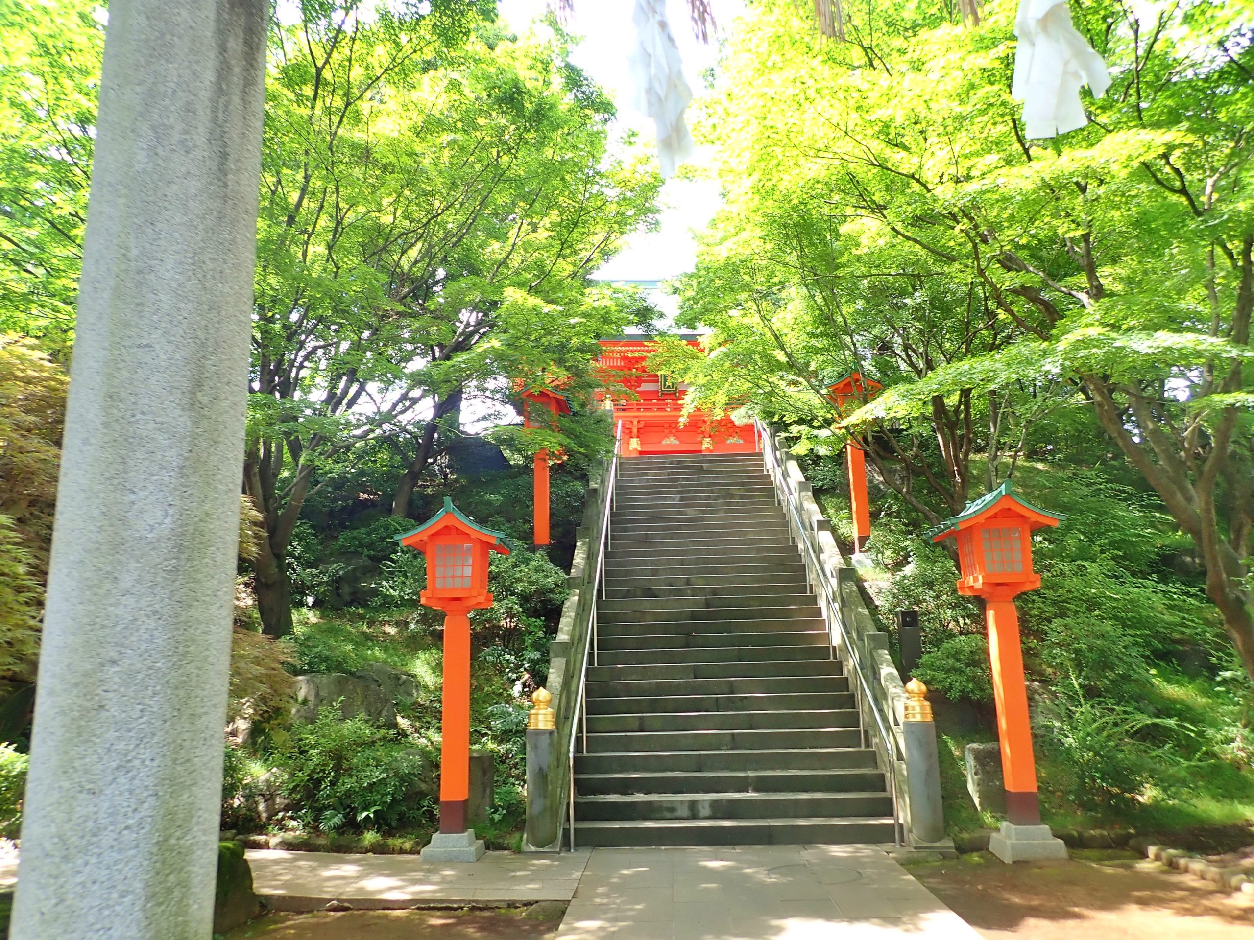 穴八幡宮の参道 穴八幡宮の参道
