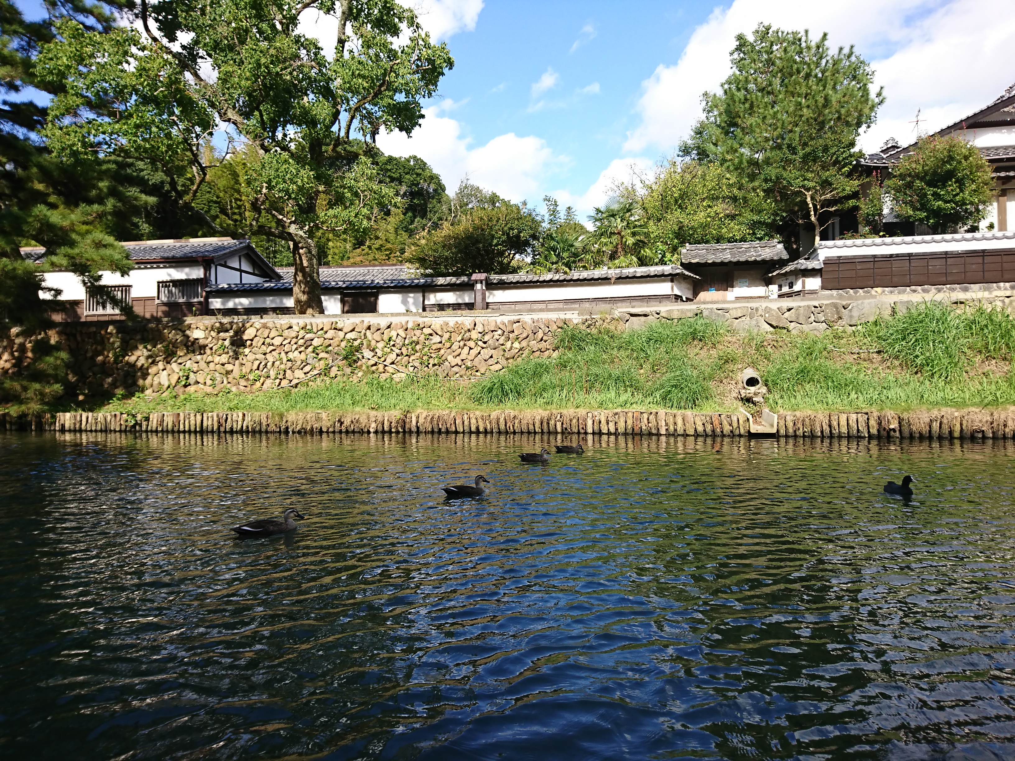 松江城堀川めぐり