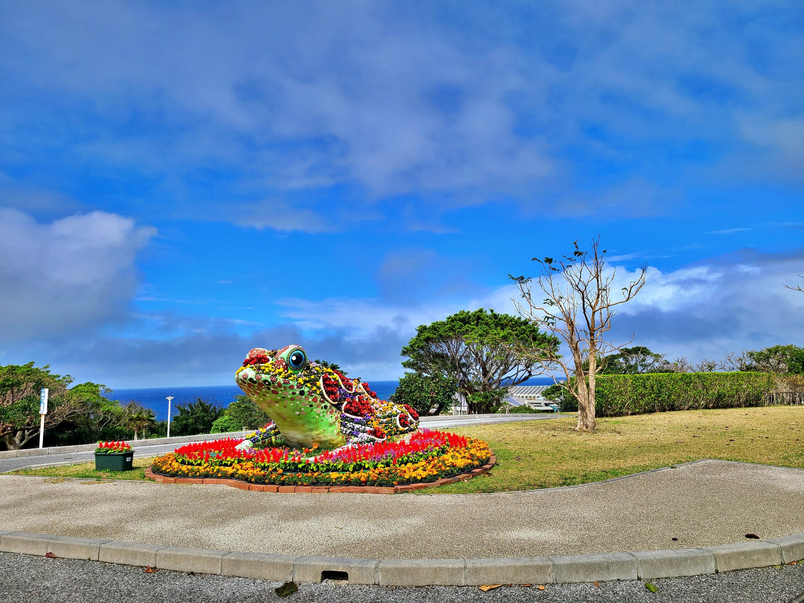 海洋博公園の花のカエル