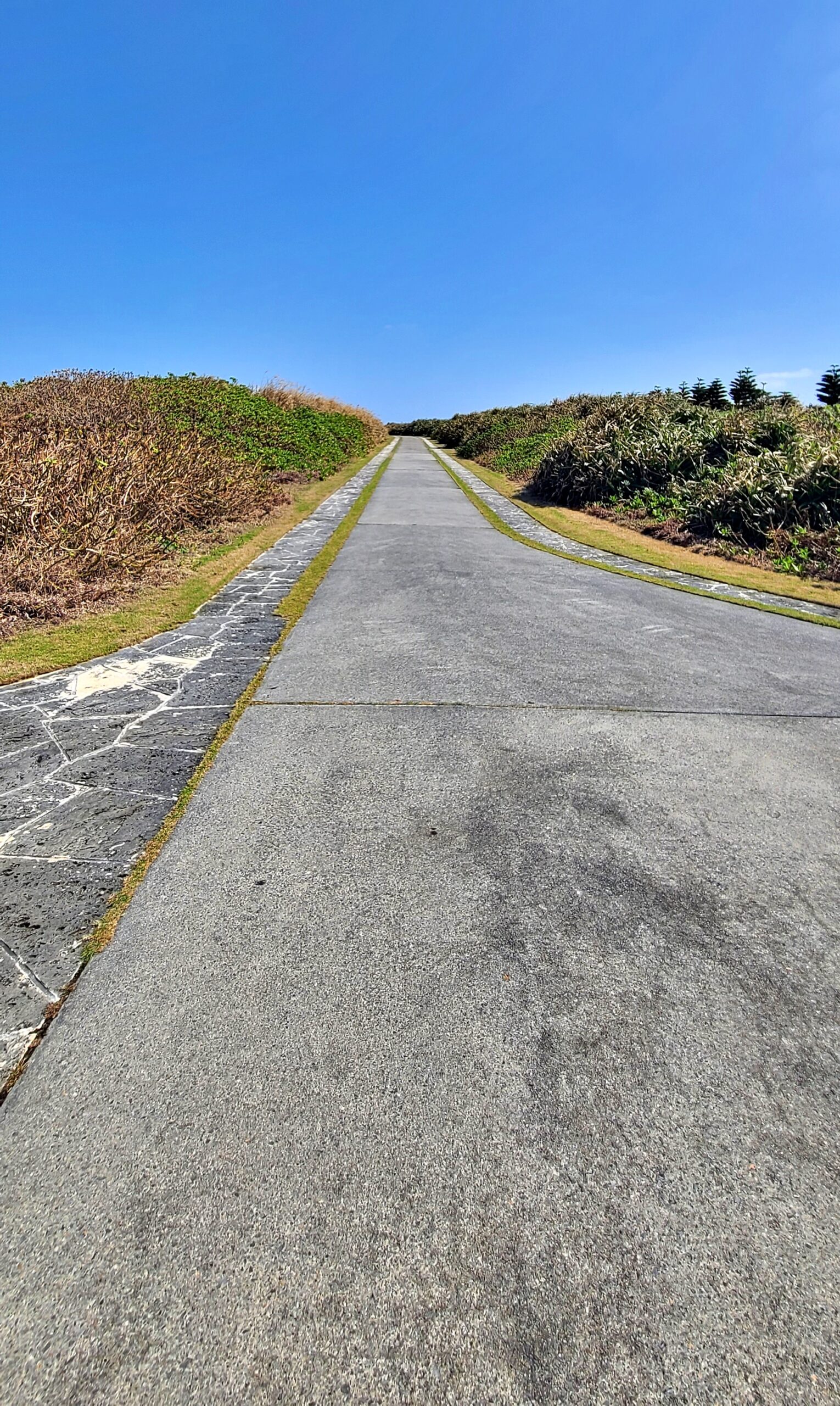 残波岬公園の遊歩道