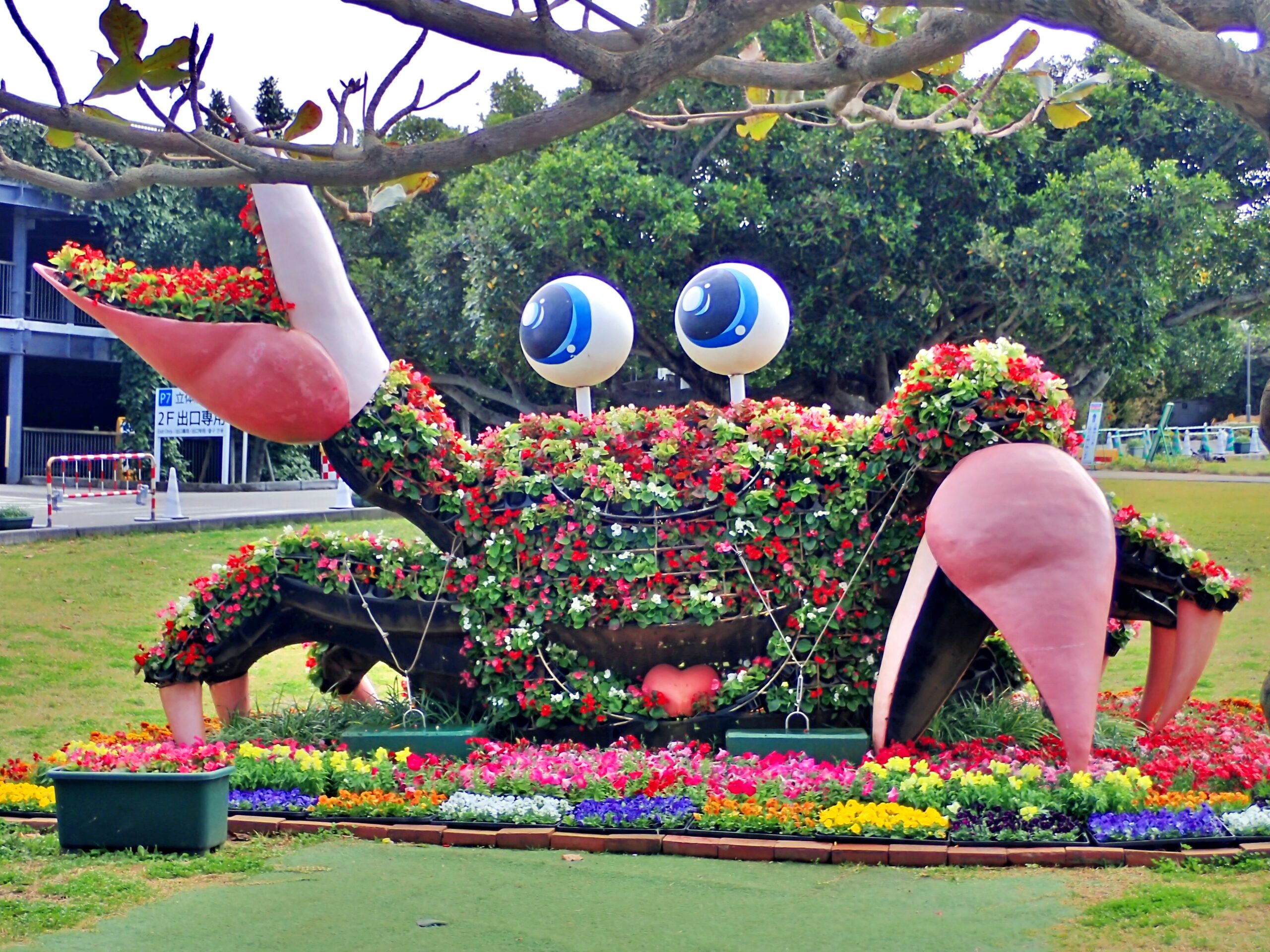 海洋博公園の花のカニ