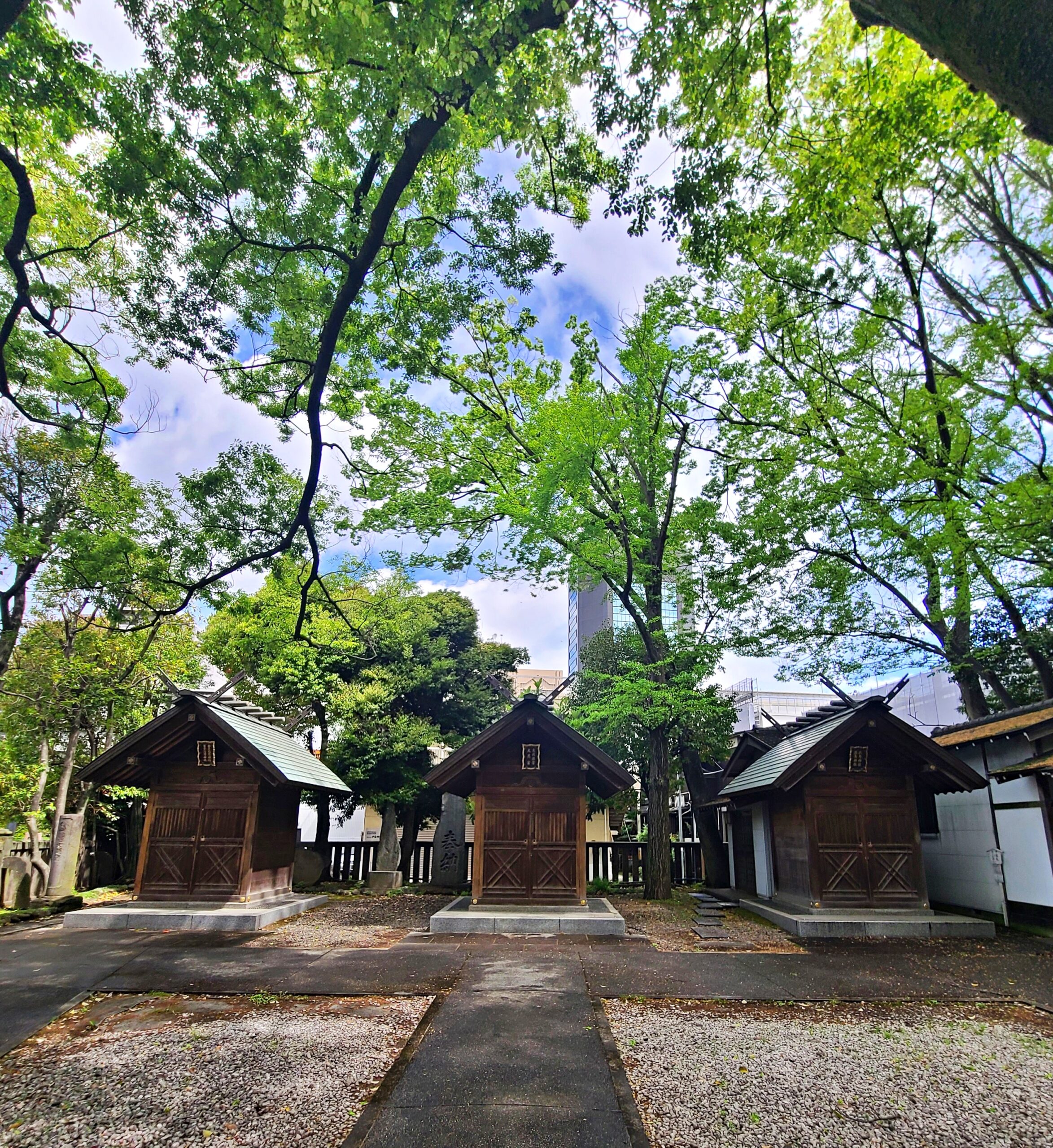 富岡八幡宮の境内 富岡八幡宮の境内