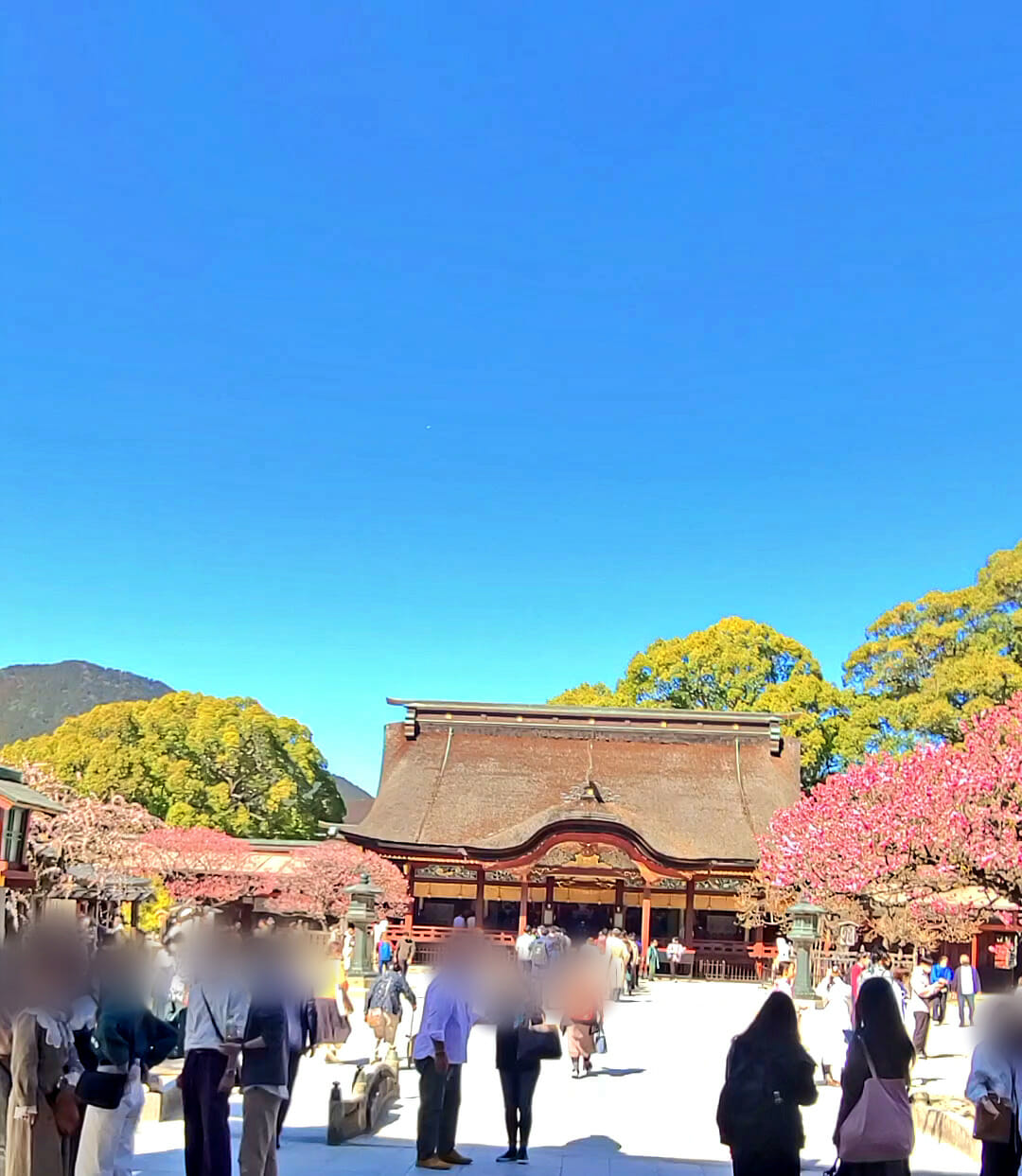 太宰府天満宮のご本殿