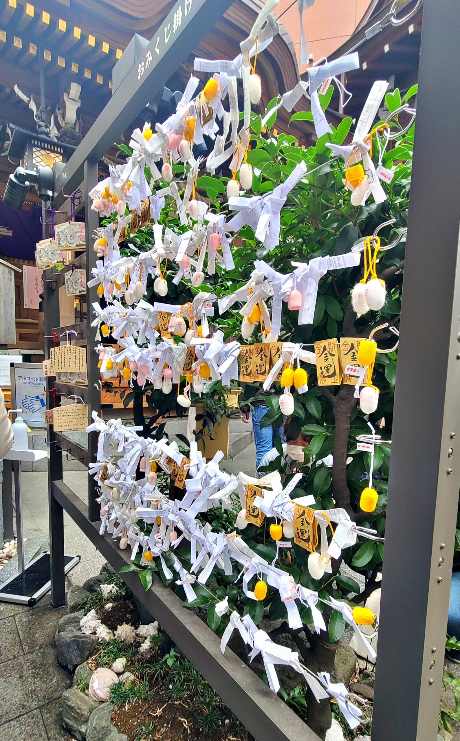 小網神社のおみくじ掛け処